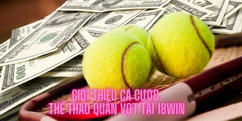 Giới thiệu cá cược thể thao quần vợt tại 18Win